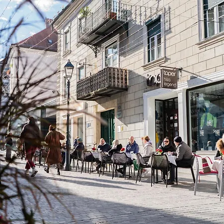 Apartment Center Celje