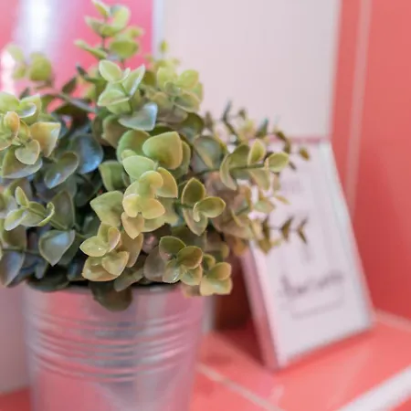 Center דירה צליה