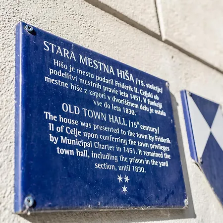 דירה Center צליה