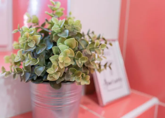 Center アパート ツェリェ